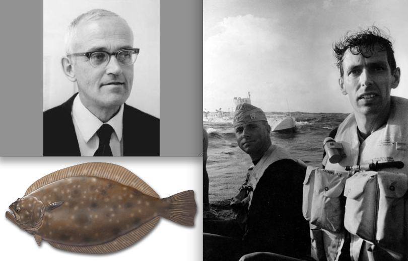 “Cosmos”, C. C. Patterson, and “What the Fish Knew” about the ... image