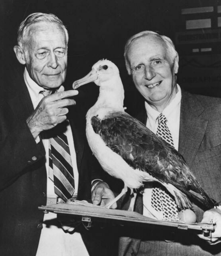 Looking for Albatross in the Archives – History of Oceanography